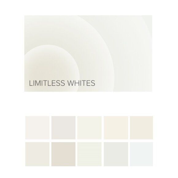 NWOT BEHR 2025 Color Forecast Commercial Paint Color Fan Deck - Picture 7 of 12